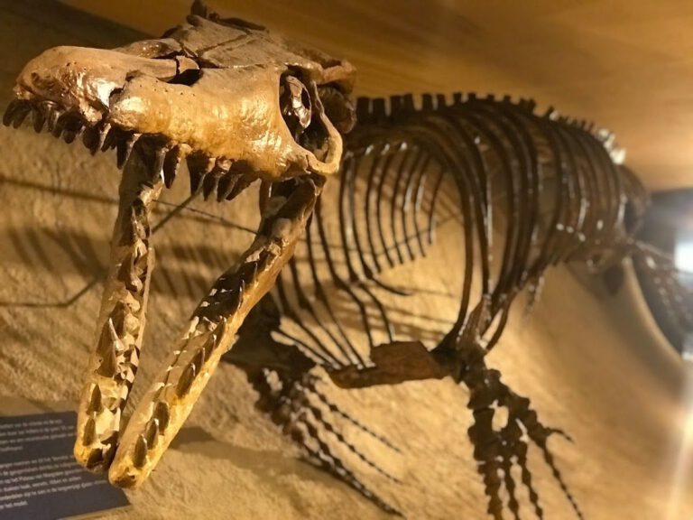 Natuurhistorisch museum-Maastricht